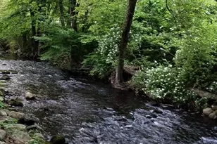 153 Bozrah St, Bozrah, CT 06334 - Photo 20