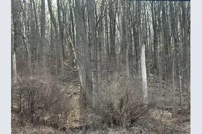 00 Torrington Road, Litchfield, CT 06759 - Photo 6