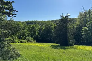 Rte 39 South State Rte, Sherman, CT 06784 - Photo 1