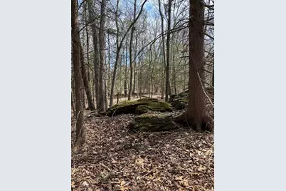 Lot 4 Chalybes Road West, Roxbury, CT 06783 - Photo 2