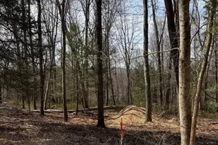 Lot 4 Chalybes Road W, Roxbury, CT 06783 - Photo 1