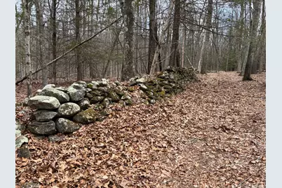 Lot 4 Chalybes Road West, Roxbury, CT 06783 - Photo 6