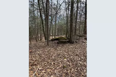 Lot 4 Chalybes Road West, Roxbury, CT 06783 - Photo 10