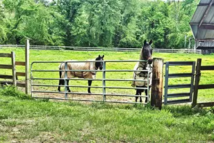 12 Wells Rd, New Milford, CT 06776 - Photo 2