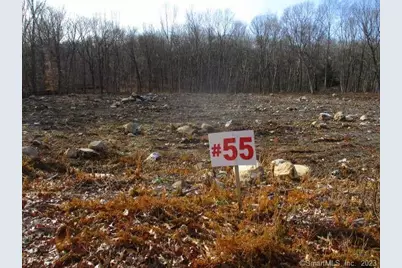 54 Northrop Road, Woodbridge, CT 06525 - Photo 12