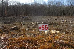 54 Northrop Rd, Woodbridge, CT 06525 - Photo 12