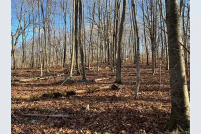 54 Northrop Road, Woodbridge, CT 06525 - Photo 10