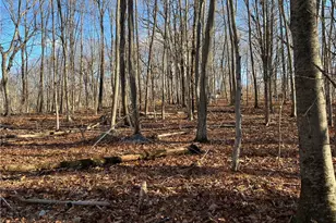 54 Northrop Rd, Woodbridge, CT 06525 - Photo 10