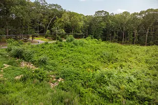 54 Northrop Rd, Woodbridge, CT 06525 - Photo 8