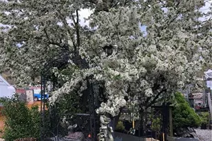 671 Rubber Ave, Naugatuck, CT 06770 - Photo 8