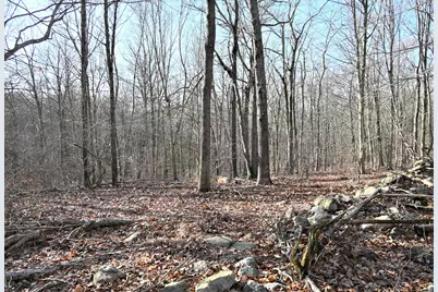 62-14,15,16 Middlesex Turnpike, Old Saybrook, CT 06475 - Photo 16