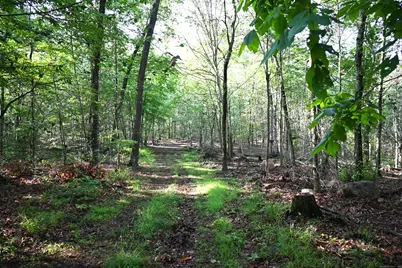 62-14,15,16 Middlesex Turnpike, Old Saybrook, CT 06475 - Photo 10