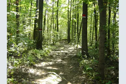 0 Porter Road, Ellington, CT 06029 - Photo 6