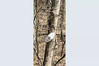 0 Stonewall Lane #39, Kent, CT 06757 - Photo 2