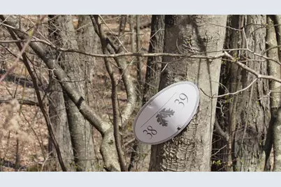 0 Stonewall Lane #39, Kent, CT 06757 - Photo 6