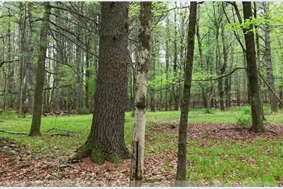 597 East Thompson Road #Lot 10C, Thompson, CT 06277 - Photo 4