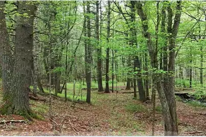 597 East Thompson Road #Lot 10C, Thompson, CT 06277 - Photo 12