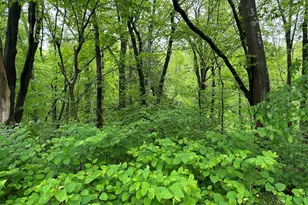 66 Union City Rd, Prospect, CT 06712 - Photo 1