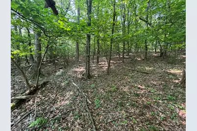 44 Cheshire Road, Prospect, CT 06712 - Photo 10