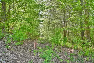 19 Ratlum Mountain Rd, Barkhamsted, CT 06063 - Photo 18