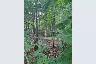 Chapman Road, Marlborough, CT 06447 - Photo 2