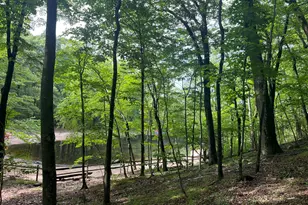 81 Mountain Rd, Prospect, CT 06712 - Photo 20