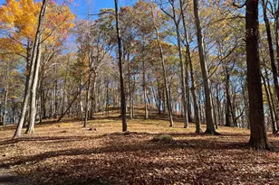 81 Mountain Rd, Prospect, CT 06712 - Photo 22