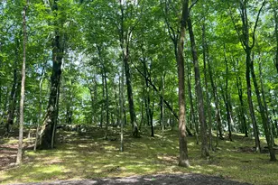 81 Mountain Rd, Prospect, CT 06712 - Photo 14