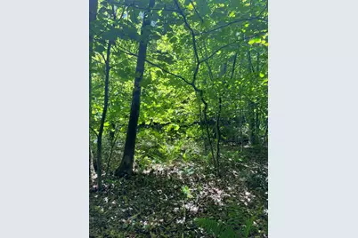 710 Smithfield Road, Millerton, NY 12546 - Photo 6