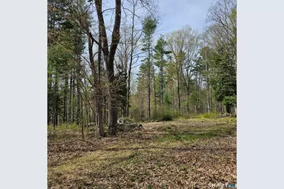 Jared Sparks Road, Willington, CT 06279 - Photo 6