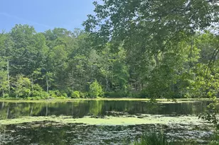 538 Winthrop Rd, Deep River, CT 06417 - Photo 2