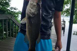 306 Old Colchester Rd, Salem, CT 06420 - Photo 32