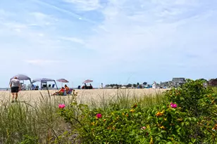 25 Summer Pl, Milford, CT 06460 - Photo 6