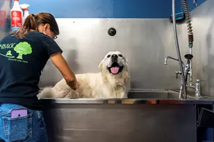 319 Main St S, Bethlehem, CT 06751 - Photo 12