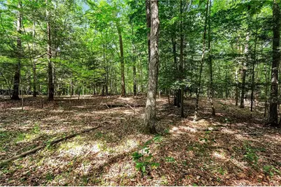 200 North Street, Roxbury, CT 06783 - Photo 12