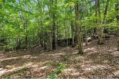 200 North Street, Roxbury, CT 06783 - Photo 6