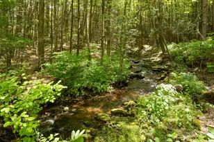 37 Lower Barrack Rd, Canaan, CT 06031 - Photo 2