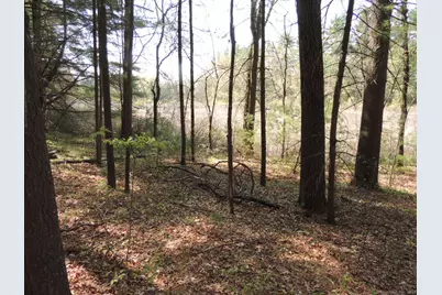 730 Clayton Rd Road, Sheffield, MA 01257 - Photo 4