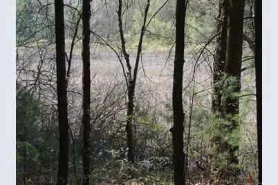 730 Clayton Rd Road, Sheffield, MA 01257 - Photo 6