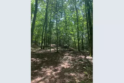 Lot 1 Chalybes Road West, Roxbury, CT 06783 - Photo 12