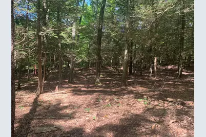Lot 1 Chalybes Road West, Roxbury, CT 06783 - Photo 6