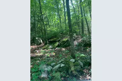 Lot 1 Chalybes Road West, Roxbury, CT 06783 - Photo 22