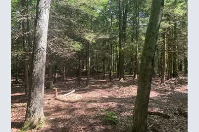 Lot 1 Chalybes Road West, Roxbury, CT 06783 - Photo 4