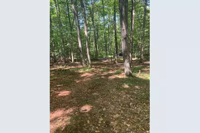 Lot 1 Chalybes Road West, Roxbury, CT 06783 - Photo 18