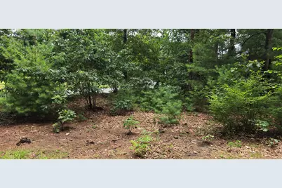 185 West Avon Road, Avon, CT 06001 - Photo 6