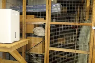 707 Mix Ave, Hamden, CT 06514 - Photo 28