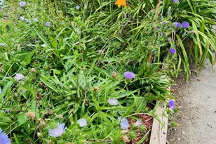 90 Mercer St, Stratford, CT 06614 - Photo 32