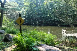 189 Crane Hollow Rd, Bethlehem, CT 06751 - Photo 30