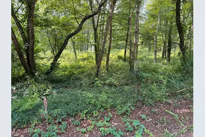 770 Pequot Trail, Stonington, CT 06378 - Photo 6