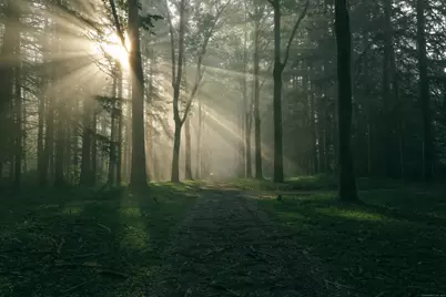 138 Amenia Road, Sharon, CT 06069 - Photo 6